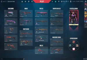 Valorant Skin Account