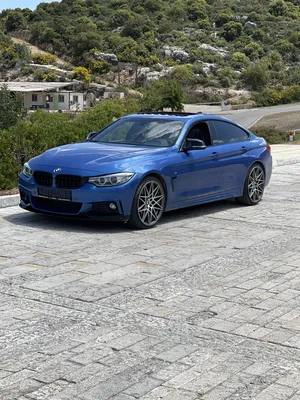 محمد-حلمي-محمود