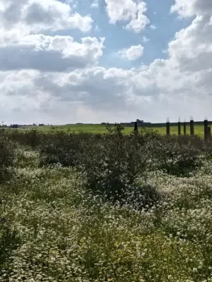 Farm Land for Sale in Amman Al Qastal