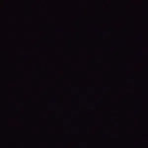 محمد 