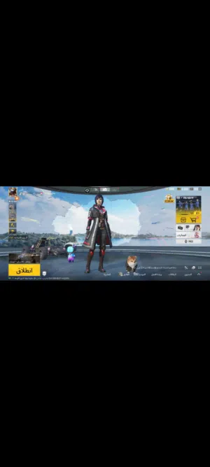 Pubg Accounts and Characters for Sale in Sana'a