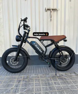 Vélo Électrique Likebike HARLEY Professional  48V         GARANTIE DE 3 MOIS