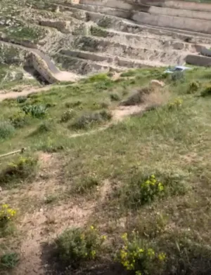 ارض في بيت تعمر 450