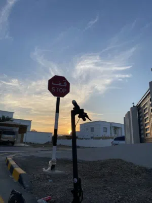 سكوتر كهربائي