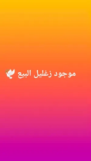 ‏حمام‏1
