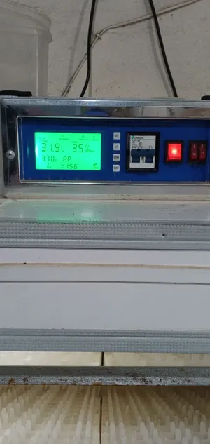 ‏إكسسوارات ‏.‏ طيور ودواجن‏4