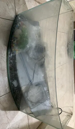 حوض سمك وتوابعه قابل للتفاوض
