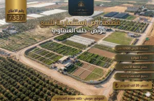 Mixed Use Land for Sale in Amman Mobes