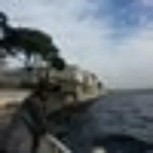 احمد العياصره