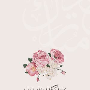  الشيخ