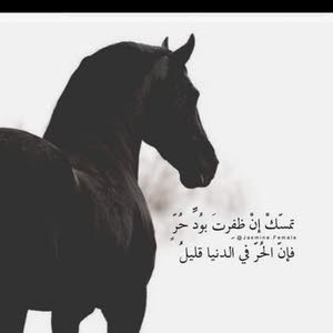  omar abbadi