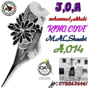  محمد الشعبي