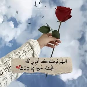  ام محمد