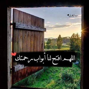  ... ابو النور