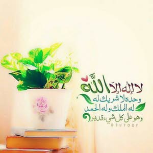  mahmmoud Shehadah