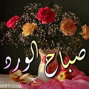  jamalshaalan ابو خليل
