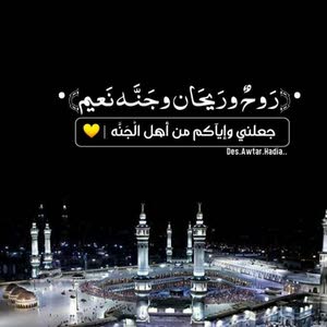 عبد الرؤوف الشيخ