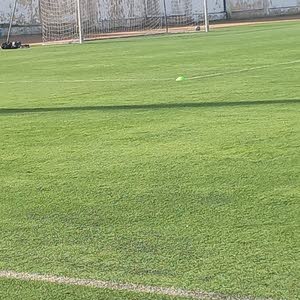  Adam Odeh