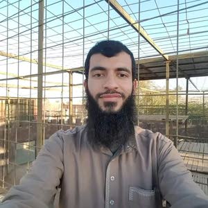  بلال العيسه