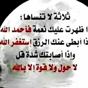 أبو راشد