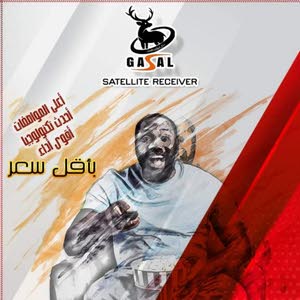  ابو أمير