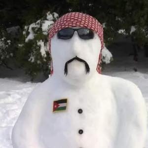  firas