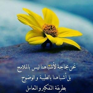  تغريد