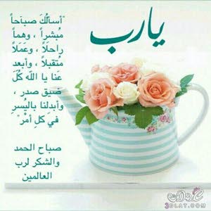  محمد الرشيد