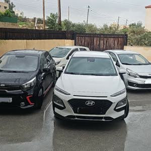 عدنان السلخي