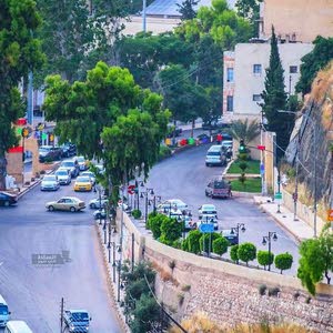  عمار دباس