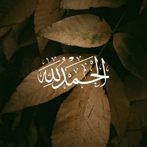  Fathi
