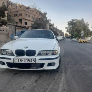  محمود الهندي ابوليث