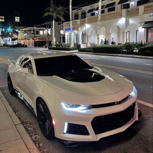 محمد