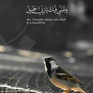  طه