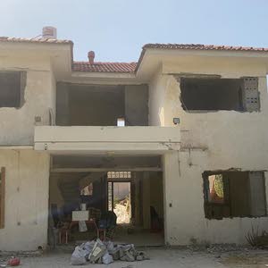 رشاد ابو فياض