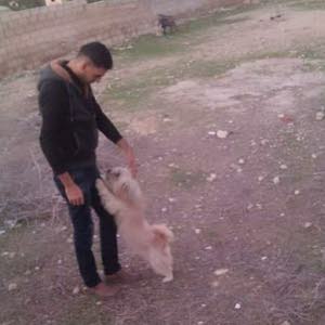  محمد للمقاولات العامة