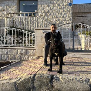 محمد القدسي
