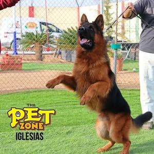 the pet zone jo1