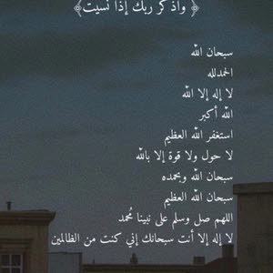  Ameer Alameer