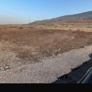 محمد عبد الرحيم معاني