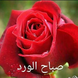 خالد الحسني