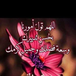  أبوعمر