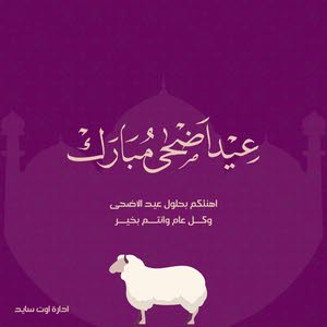  احمد