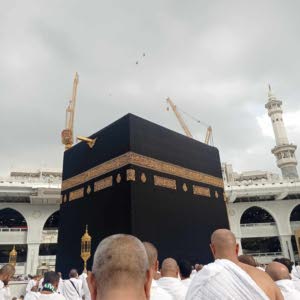 هارون عبدالرحمن