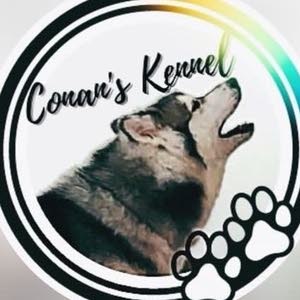  Ranoud Conan’s Kennel