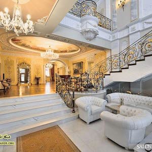  رامي زيتون زيتون