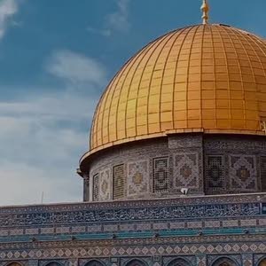  عبد الرحمن فسفوس