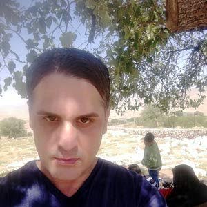 محمود