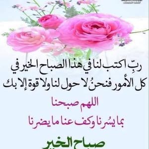  احمد الحلو