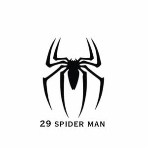  29 spider man